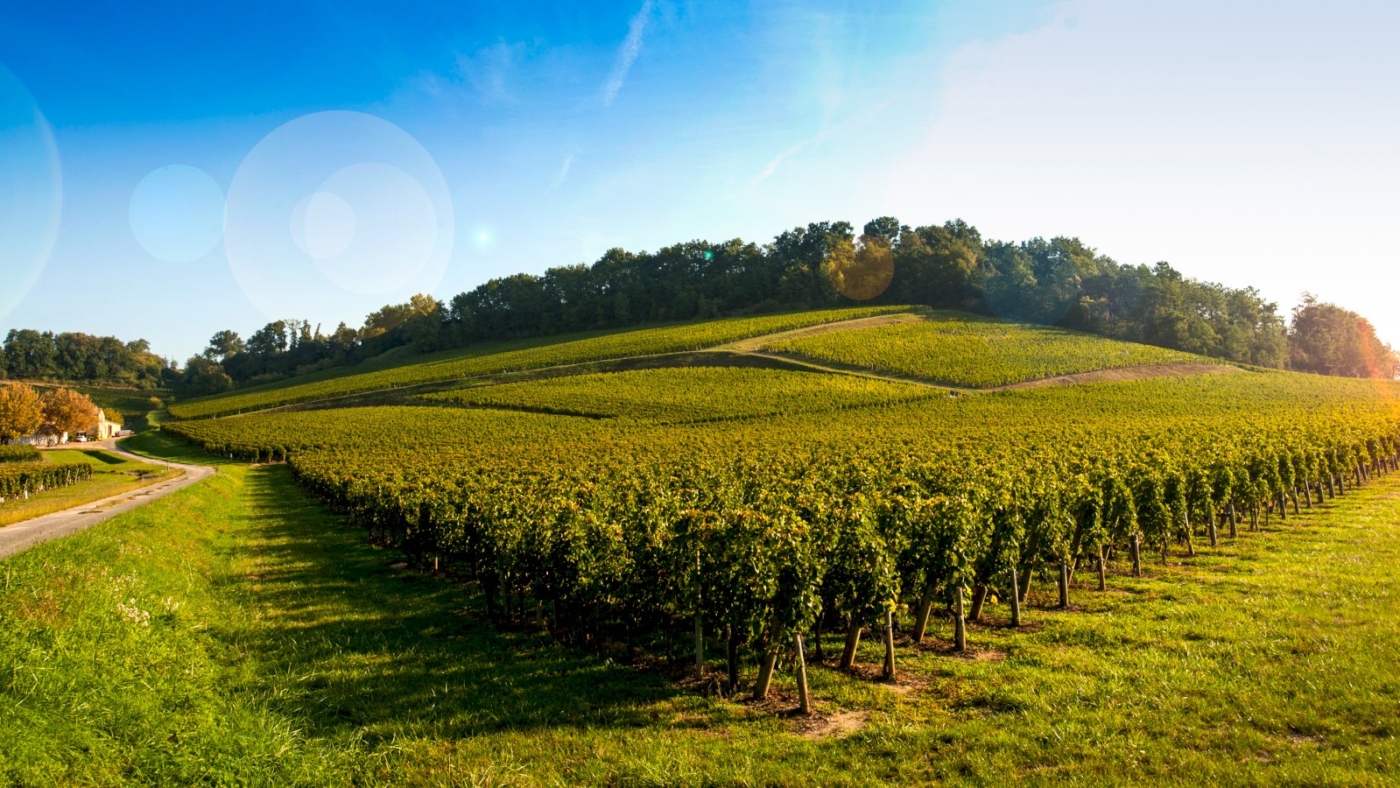 ophorus-540672-media-principal-saint-emilion-wine-tour-half-day-trip-from-bordeaux_large