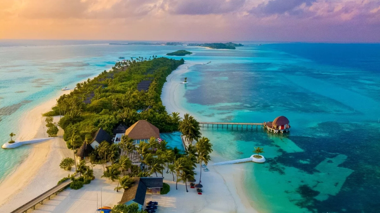 shutterstock_2491499885_ss1ozt-1